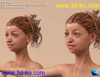 3D打印模型Character Converter from Genesis 8 Female to Genesis 3 Female的图片