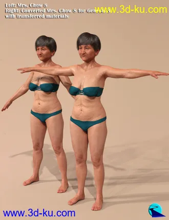 3D打印模型Character Converter from Genesis 8 Female to Genesis 3 Female的图片