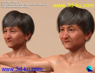 3D打印模型Character Converter from Genesis 8 Female to Genesis 3 Female的图片