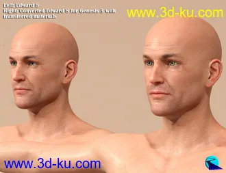 3D打印模型Character Converter from Genesis 8 Male to Genesis 3 Male的图片
