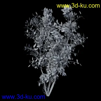 Chesterhaven模型的图片18