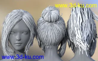 3D打印模型CO Reine and CO Reine Hair for Genesis 8 Female(s)的图片