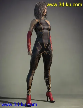 3D打印模型COG Leather Suit for Genesis 8 Female(s)的图片