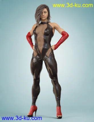 3D打印模型COG Leather Suit for Genesis 8 Female(s)的图片