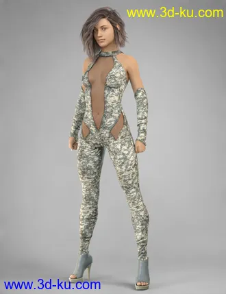 3D打印模型COG Leather Suit for Genesis 8 Female(s)的图片