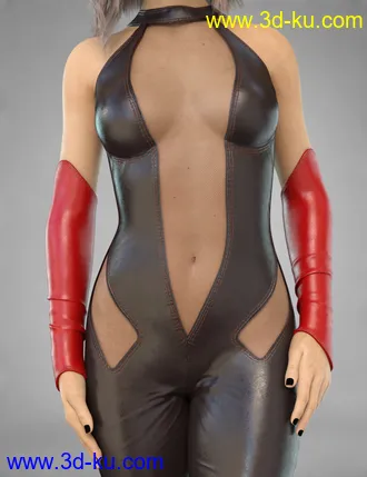 3D打印模型COG Leather Suit for Genesis 8 Female(s)的图片