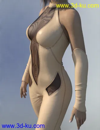 3D打印模型COG Leather Suit for Genesis 8 Female(s)的图片