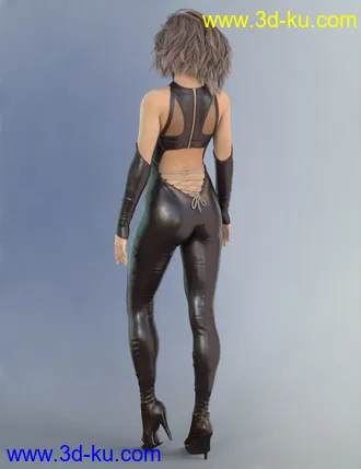 3D打印模型COG Leather Suit for Genesis 8 Female(s)的图片