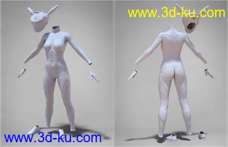 3D打印模型COG SciFi Suit for Genesis 8 Female(s)的图片