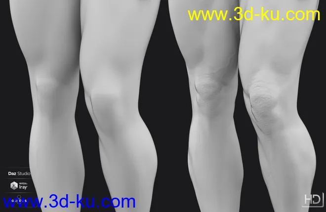 Dain 8 HD Add-On模型的图片4