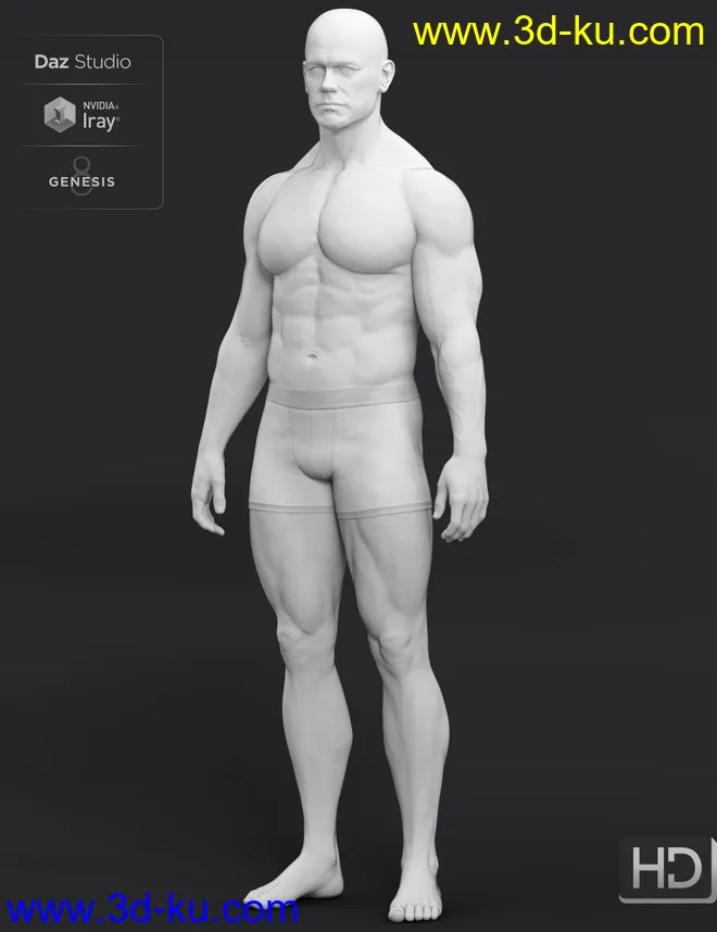Dain 8 HD Add-On模型的图片6
