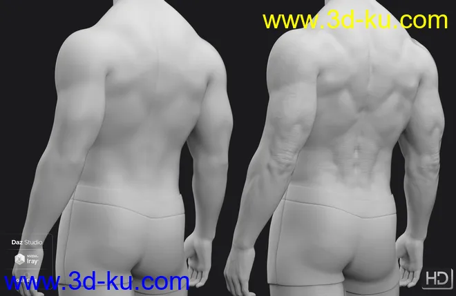 Dain 8 HD Add-On模型的图片9