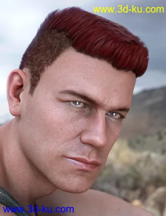 3D打印模型Derek Hair for Genesis 8 and Genesis 3 Male(s)的图片