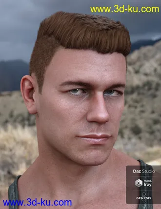 3D打印模型Derek Hair for Genesis 8 and Genesis 3 Male(s)的图片