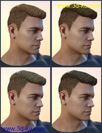 3D打印模型Derek Hair for Genesis 8 and Genesis 3 Male(s)的图片