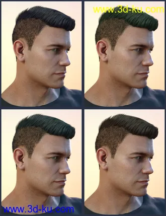 3D打印模型Derek Hair for Genesis 8 and Genesis 3 Male(s)的图片