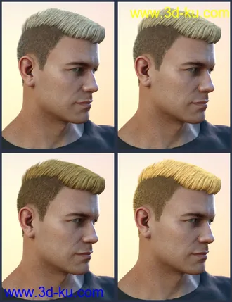 3D打印模型Derek Hair for Genesis 8 and Genesis 3 Male(s)的图片