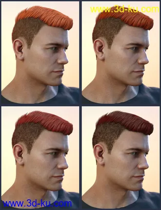 3D打印模型Derek Hair for Genesis 8 and Genesis 3 Male(s)的图片
