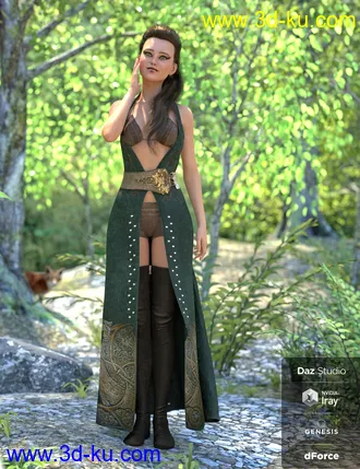 3D打印模型dForce Azahara Outfit for Genesis 8 Female(s)的图片