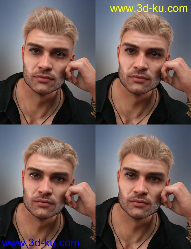 dForce Corporate Hair for Genesis 8 Male and Female(s)模型的图片7