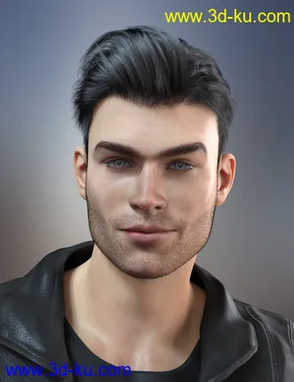 3D打印模型dForce Corporate Hair for Genesis 8 Male and Female(s)的图片