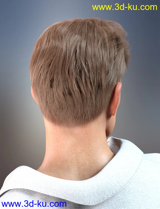 dForce Corporate Hair for Genesis 8 Male and Female(s)模型的图片13