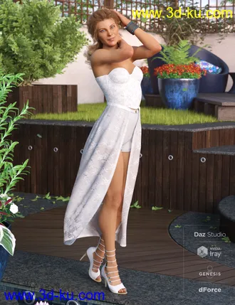 3D打印模型dForce Corset Skirt Outfit Textures的图片