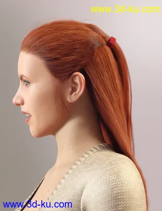 3D打印模型dForce Duchess Hair for Genesis 8 Female的图片