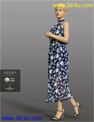 3D打印模型dForce H&C Summer Resort Outfits for Genesis 8 Female(s)的图片