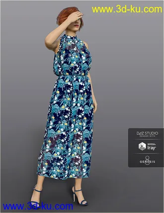 3D打印模型dForce H&C Summer Resort Outfits for Genesis 8 Female(s)的图片
