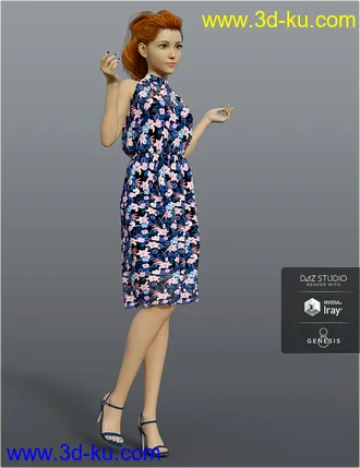 3D打印模型dForce H&C Summer Resort Outfits for Genesis 8 Female(s)的图片