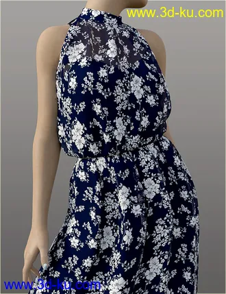 3D打印模型dForce H&C Summer Resort Outfits for Genesis 8 Female(s)的图片