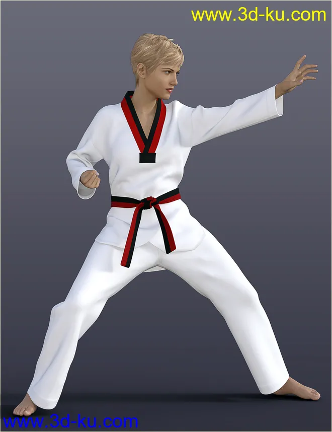 dForce H&C Taekwondo Suit for Genesis 8 Female(s)模型的图片1