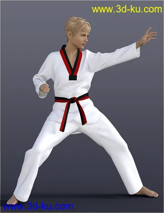 3D打印模型dForce H&C Taekwondo Suit for Genesis 8 Female(s)的图片