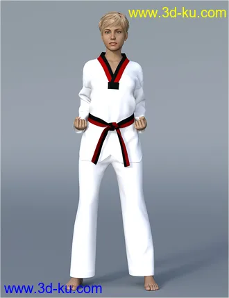 3D打印模型dForce H&C Taekwondo Suit for Genesis 8 Female(s)的图片