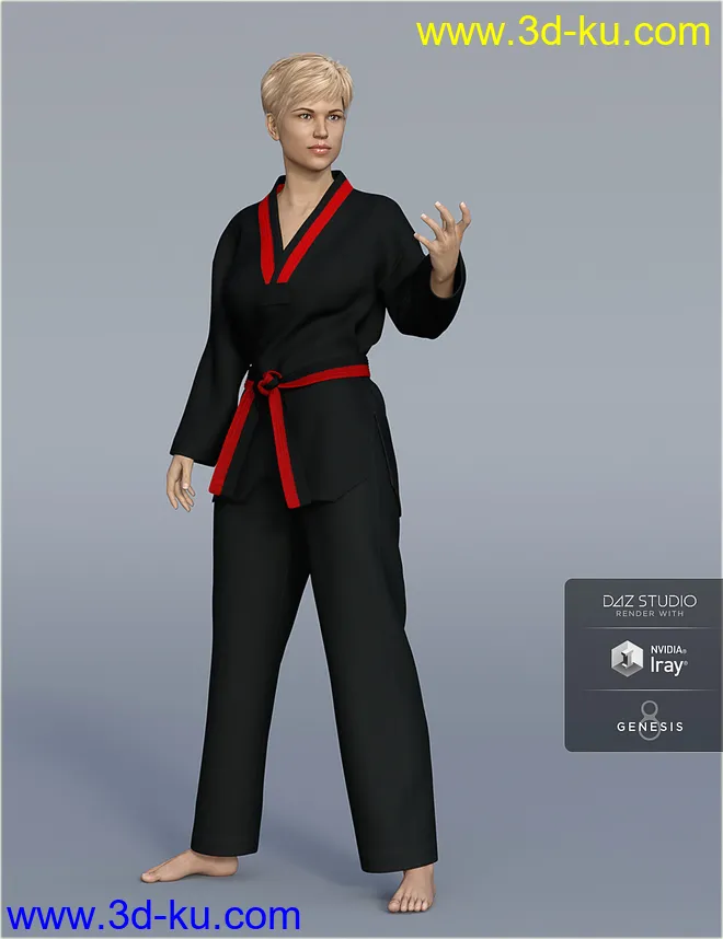 dForce H&C Taekwondo Suit for Genesis 8 Female(s)模型的图片5