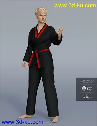 3D打印模型dForce H&C Taekwondo Suit for Genesis 8 Female(s)的图片