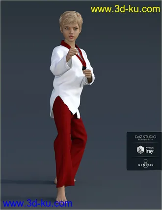 3D打印模型dForce H&C Taekwondo Suit for Genesis 8 Female(s)的图片