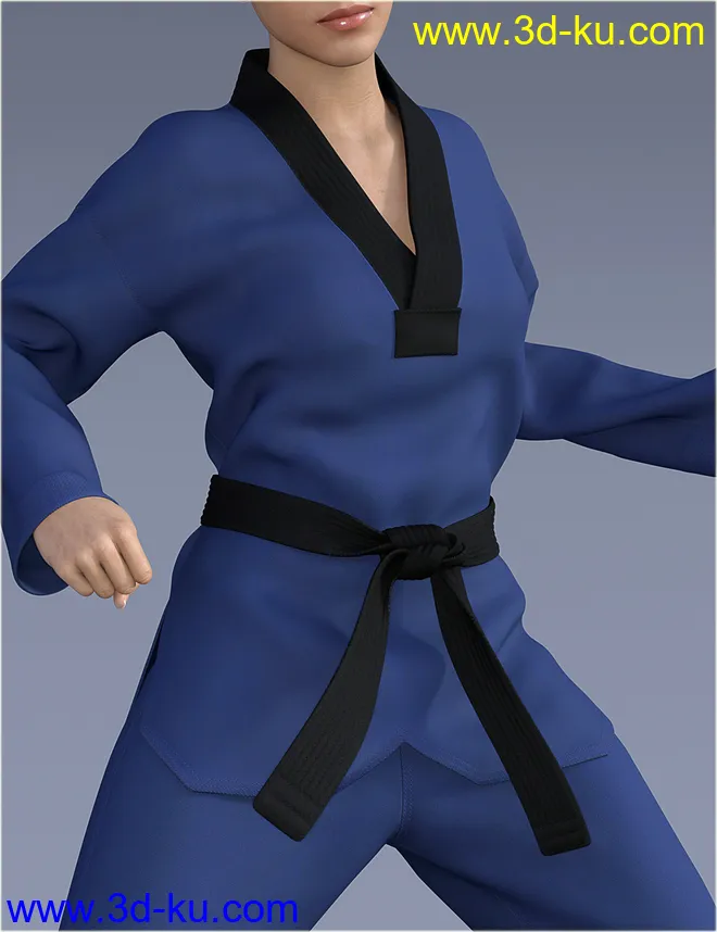 dForce H&C Taekwondo Suit for Genesis 8 Female(s)模型的图片7