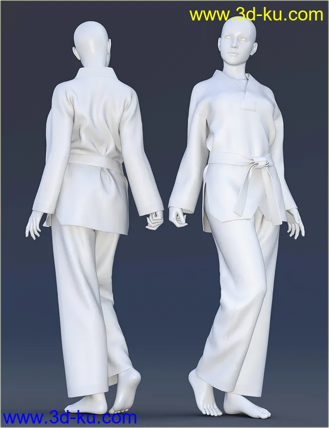 dForce H&C Taekwondo Suit for Genesis 8 Female(s)模型的图片8