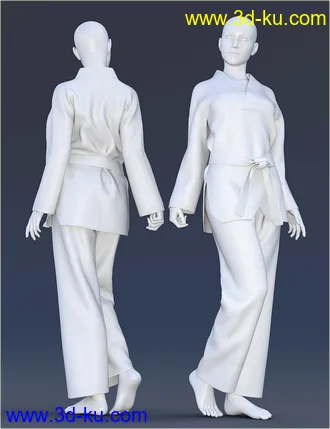 3D打印模型dForce H&C Taekwondo Suit for Genesis 8 Female(s)的图片