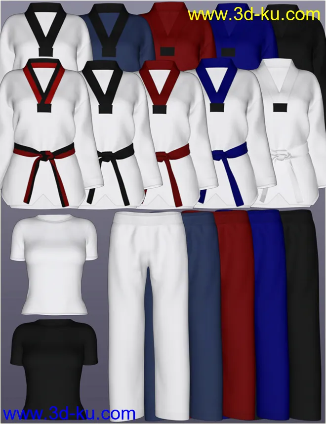 dForce H&C Taekwondo Suit for Genesis 8 Female(s)模型的图片9