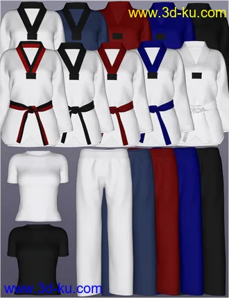 3D打印模型dForce H&C Taekwondo Suit for Genesis 8 Female(s)的图片