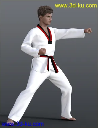 3D打印模型dForce H&C Taekwondo Suit for Genesis 8 Male(s)的图片