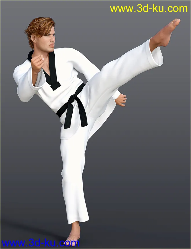 dForce H&C Taekwondo Suit for Genesis 8 Male(s)模型的图片2