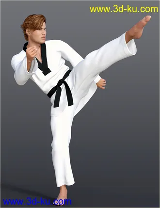 3D打印模型dForce H&C Taekwondo Suit for Genesis 8 Male(s)的图片