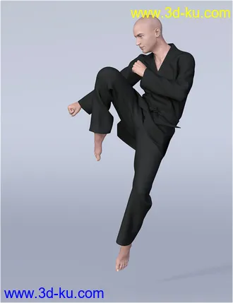 3D打印模型dForce H&C Taekwondo Suit for Genesis 8 Male(s)的图片