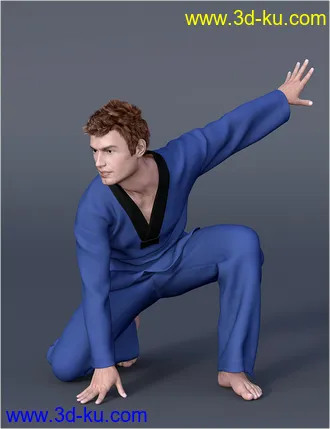 3D打印模型dForce H&C Taekwondo Suit for Genesis 8 Male(s)的图片