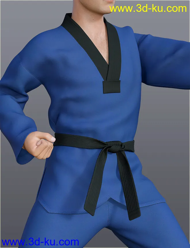 dForce H&C Taekwondo Suit for Genesis 8 Male(s)模型的图片7
