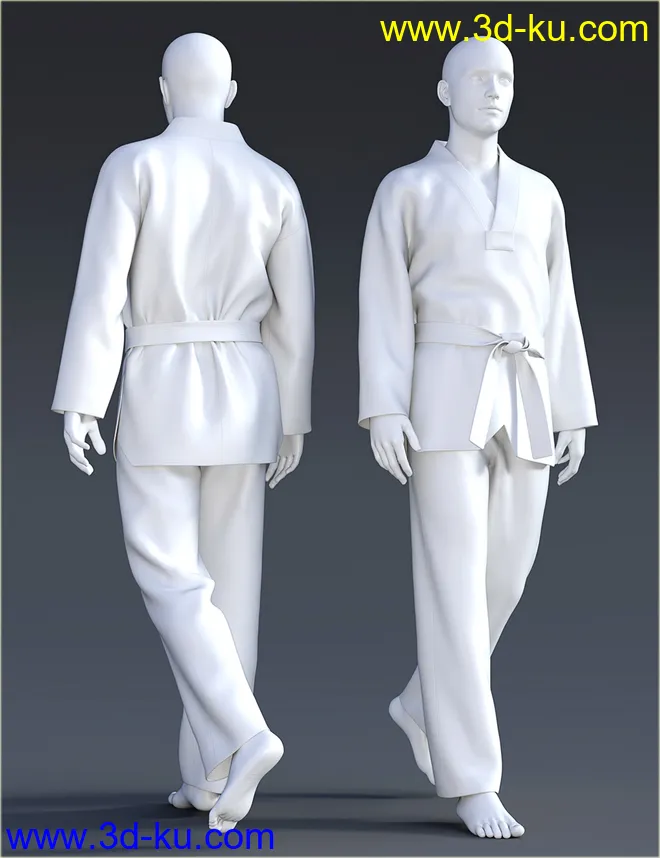 dForce H&C Taekwondo Suit for Genesis 8 Male(s)模型的图片9